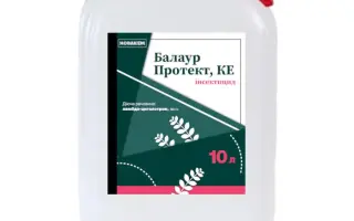 Балаур Протект