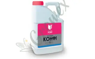 Грінфорт Конфі