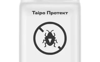 Таіро Протект