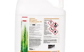 Дaнадим стабільний