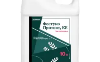 Фестуко Протект