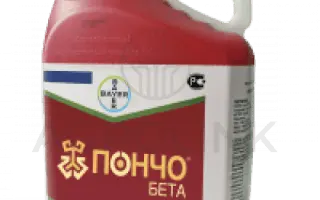 Пончо Бета 453,3 FS