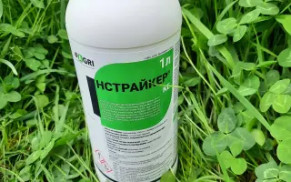 Инстрайкер