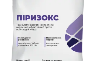 ПИРИЗОКС, ЗП