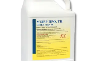 Мідер Про, ТН