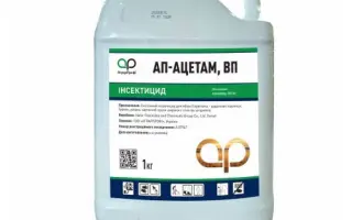 АП-Ацетам