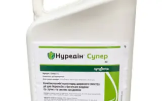 Нуредін Супер