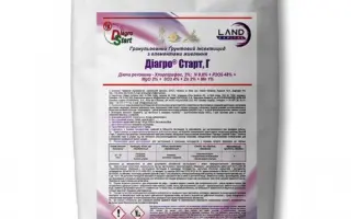 Диагро Старт