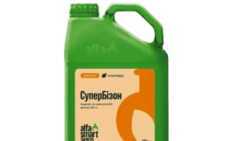 СуперБізон