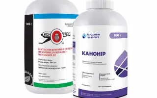 Канонір, ВГ