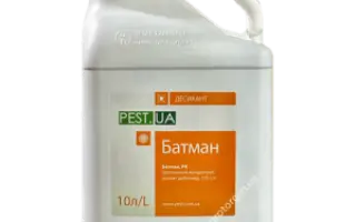 Панкратіон 247 SC