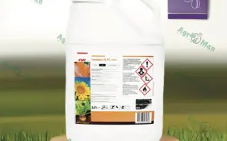 Семафор 20 ST