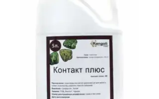 Контакт Плюс