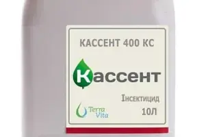Кассент 400 КС