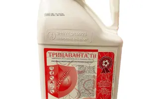 Тринаванта