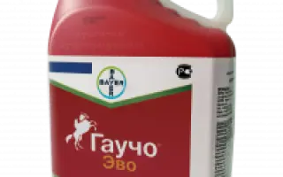 Гаучо Ево 275 FS