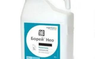 Клотер Тріо