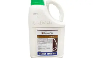 Селест Топ 312,5 FS