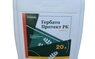 Protect/Протект