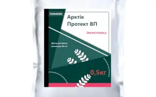 Арктік Протект