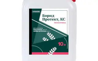 Борид Протект