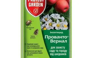 Прованто Вернал 480 SC