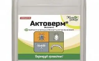 ACTOVERM (АКТОВЕРМ)