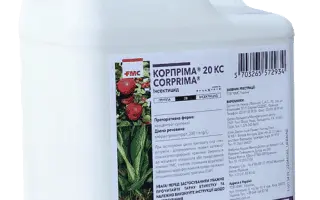 ПРІМАКОР™ 20, КС