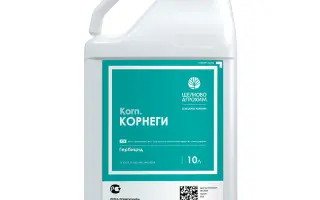КОРЕГІС™ 20, КС