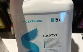 Сартус