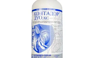 Контадор Дуо