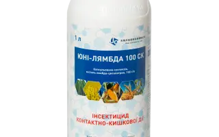 ЮНИ-ЛЯМБДА 100