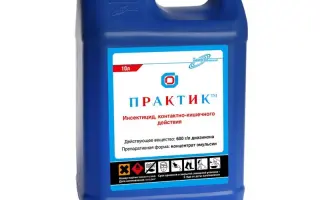 Практик к.е., (діазинон, 600 г/л)