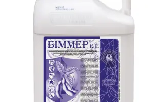 Біммер к.е., (диметоат, 400 г/л)