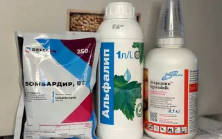 Фора, в.г., (імідаклоприд, 700 г/кг)