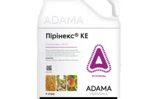 Пірінекс 48 к.е., (хлорпірифос, 480 г/л)