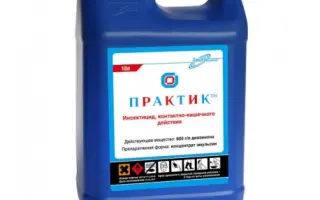 Практик к.е., Інсектицид (Діазинон, 600 г/л)