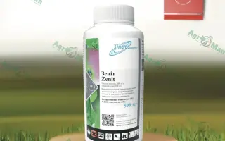 Зеніт в.р.к.