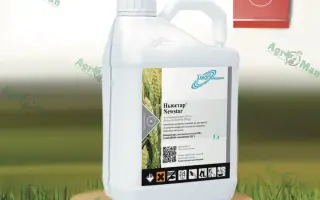 Ньюстар к.е.