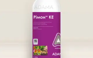 Рімон 10 к.е.