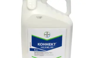 Коннект 112,5 SC