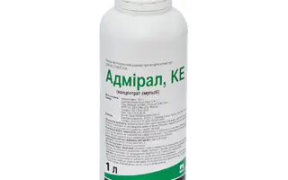 Адмірал к.е.