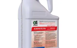 Каратель ЕС к.е.