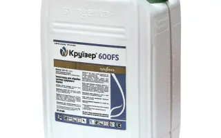 Круїзер 600 FS