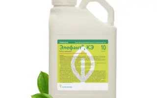 Еледо 480 FS т.к.с.