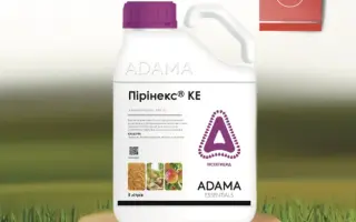 ПИРИНЕКС 25 МК С