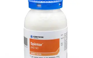 СПІНТОР 240 SC