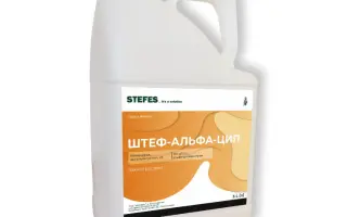 ШТЕФ-АЛЬФА-ЦИП