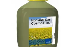 КОСМОС 250 Т.К.С.