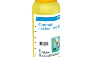 Фастак